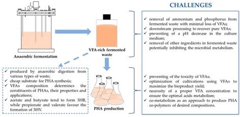Volatile Fatty Acids as Carbon Sources for Polyhydroxyalkanoates Production