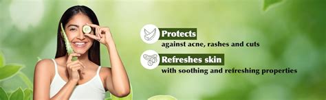 Everyuth Naturals Nourishing Aloe Vera & Cucumber Gel| Protects from ...