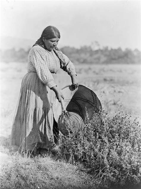 Wappo Native American Tribe: History, Culture, and Traditions