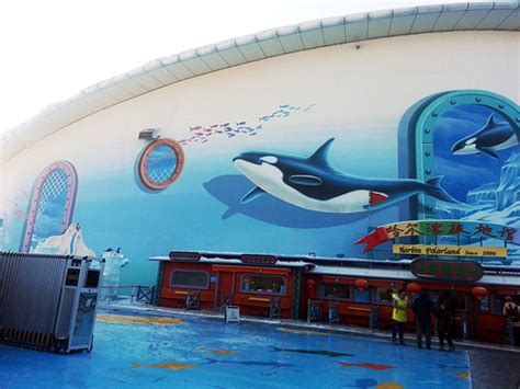 2023哈尔滨极地公园·海洋馆-旅游攻略-门票-地址-问答-游记点评，哈尔滨旅游旅游景点推荐-去哪儿攻略