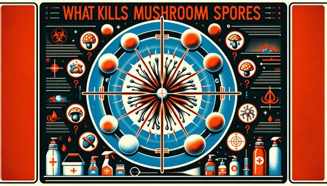 7 Effective Methods to Kill Mushroom Spores [Proven Techniques] - SporesMD