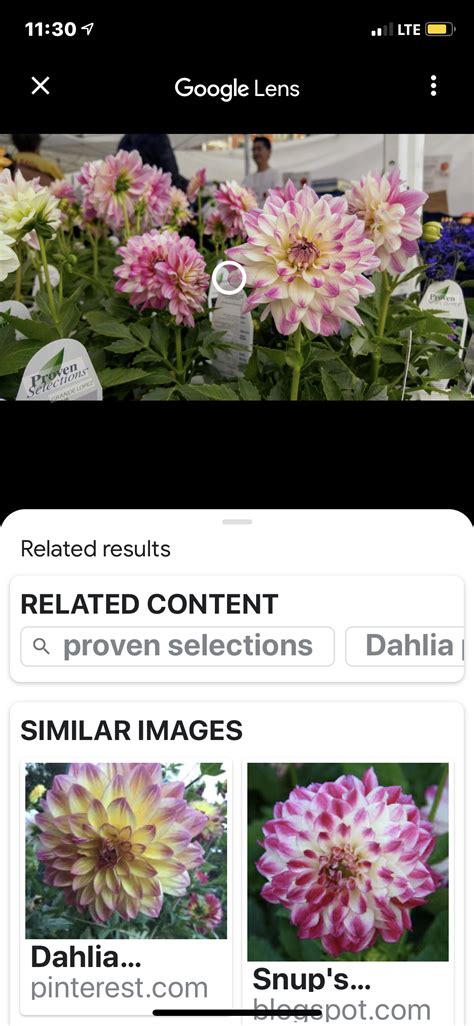 Google Photography Tutorial 的图像结果