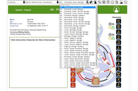 Image result for Multidimensional Human Design Chart