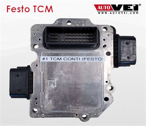How to Test TCM Module 的图像结果