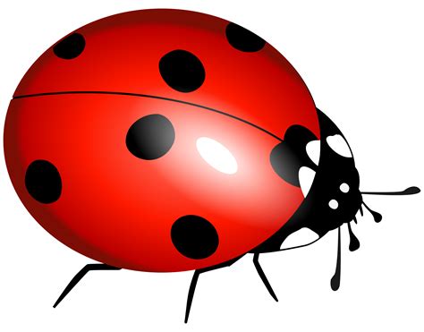 Free Lady Bug, Download Free Lady Bug png images, Free ClipArts on ...