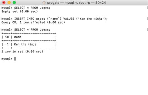Image result for MySQL Local Database Setup