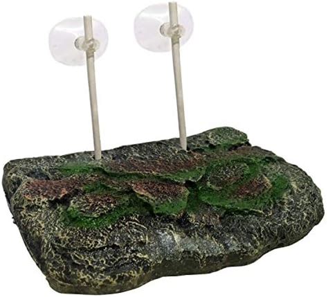 Jainsons Pet Products Floating Rock Turtle Island Reptile Turtle Tank ...