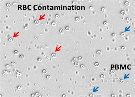 Cell Counting Method | Revvity