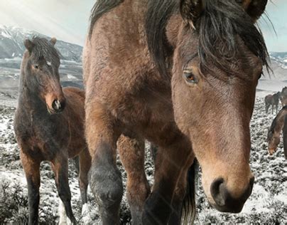 Image result for Exploding Propane Bottles