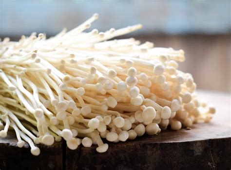 Can Dogs Eat Enoki Mushrooms