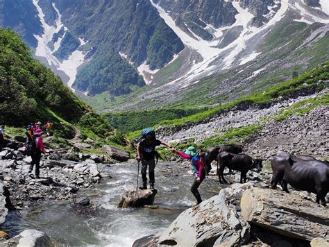 THIN AIR MOUNTAIN TRIPS (2026) All You Need to Know BEFORE You Go (w ...