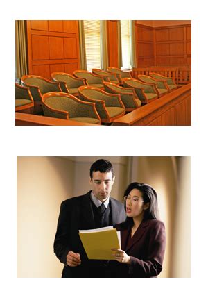 Expert Witness Example 的图像结果
