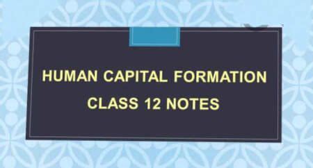 Image result for Human Capital Formation Class 12th