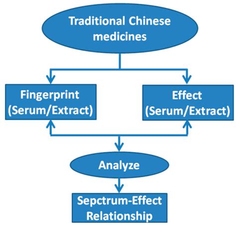 Discovery and Current Status of Evaluation System of Bioavailability ...
