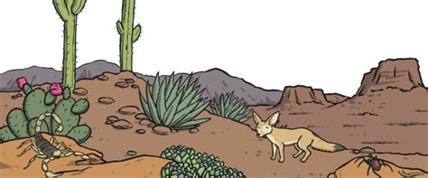 Image result for Habitat Example