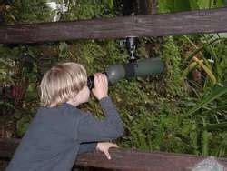 ZooLex Exhibit - Masoala Rainforest