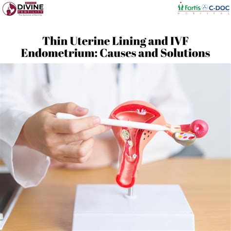 Thin Uterine Lining and IVF Endometrium: Causes and Solutions