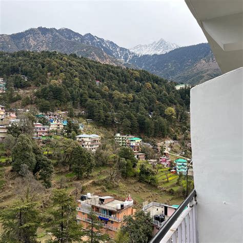 HOTEL MOUNT VIEW (McLeod Ganj, India - Himachal Pradesh) - Hotel ...