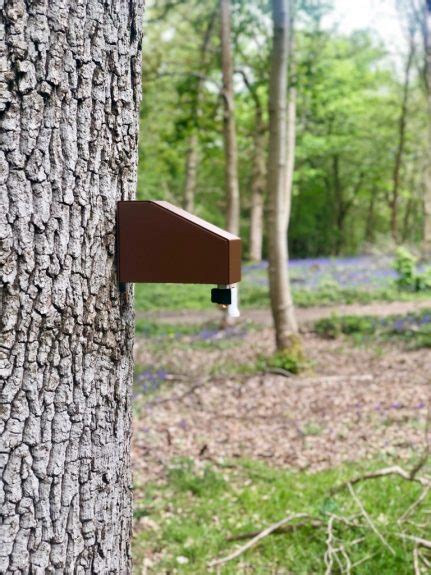 Image result for Squirrel Tree Guard