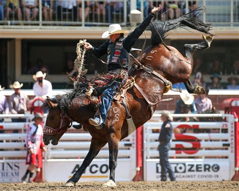 Calgary Rodeo 的图像结果
