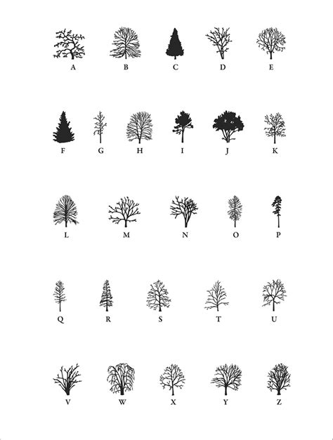 Image result for Language Tree Poster