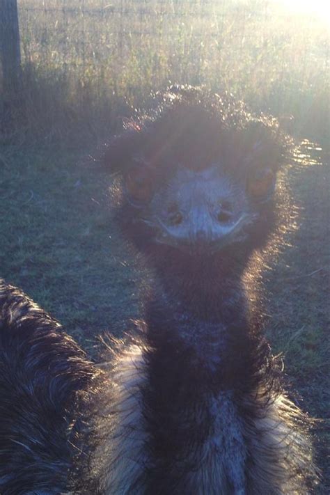 MESOPOTAMIA LODGE (Kempsey) - Lodge Reviews & Photos - Tripadvisor