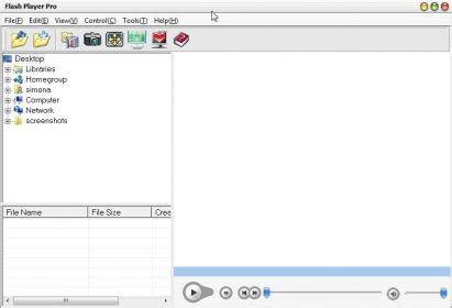 Image result for Flash Player Pro