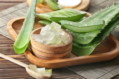 manfaat konsumsi aloe vera
