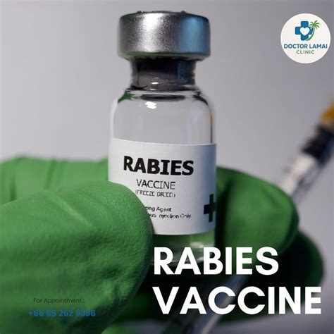 Long Term Side Effects of Rabies Vaccine in Humans: The Facts