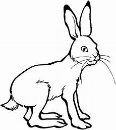 ausmalbilder hase ausmalbilder malvorlagen hase kostenlos zum ausdrucken ausmalbilder hase ausmalbilder malvorlagen hase kostenlos zum ausdrucken