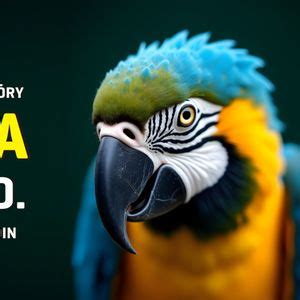 Exotika 2024, Masarykova 1727, 289 22 Lysá nad Labem, Czech Republic ...