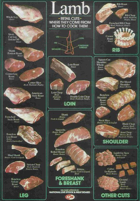 Lamb Meat Cuts Chart - Minimalist Chart Design
