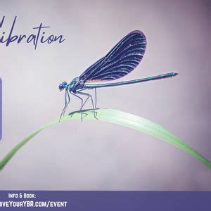 Reiki Master Training (Usui / Holy Fire) ** Book Early & Save **, Live ...