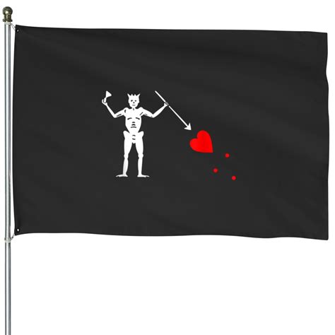 Blackbeard Pirate Flag Jolly Roger Skeleton Halloween House Flags sold ...