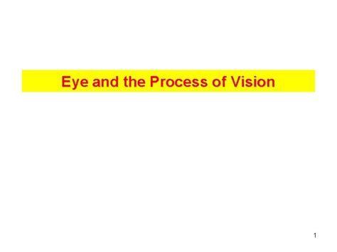 Image result for Process of Vision