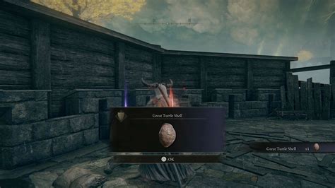 Image result for Great Turtle Shell