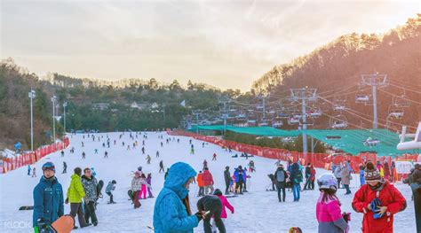Vivaldi Park, Oak Valley, and Elysian Gangchon Ski Resort Private Car ...