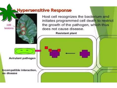 Stress Biology 的图像结果