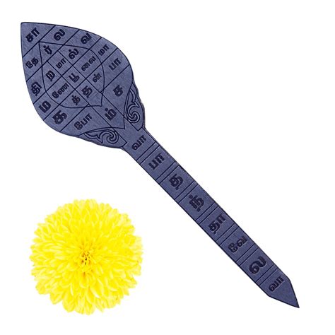 Buy Anciently Karungali Sastra Bandham Vel Original 6 Inches, Natural ...