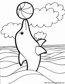 delphin ausmalbild pdf delphin malvorlagen kostenlos zum ausdrucken delphin ausmalbild pdf delphin malvorlagen kostenlos zum ausdrucken