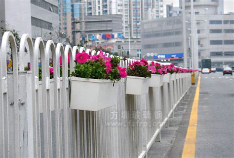 桥体绿化桥梁护栏悬挂花箱 | 产品中心 | 苏州彩格尔花箱厂家