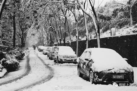 感觉全世界都在下雪！只有上海在下雨下雨下雨！ - 侬好上海 - 新民网