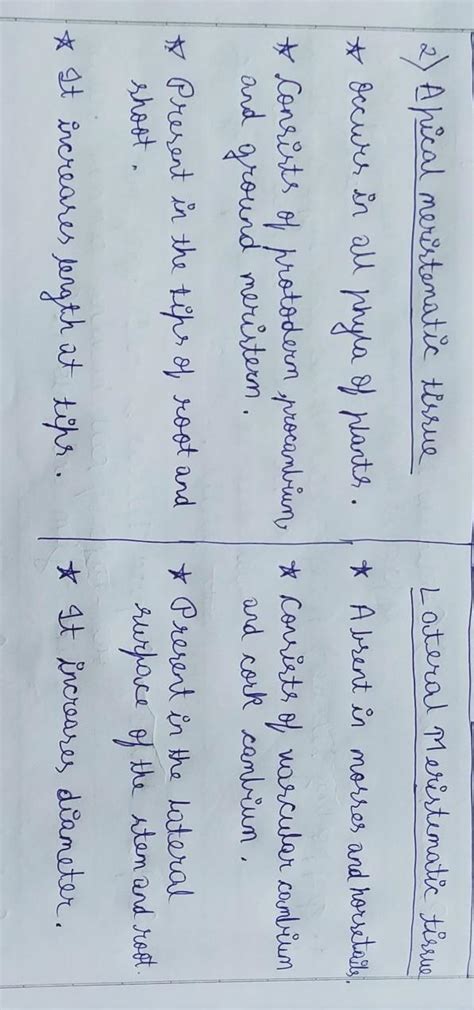 differentiate between apical meristematic tissue and Lateral ...