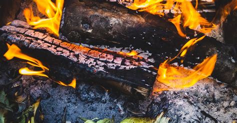 Image result for Long Log Fire