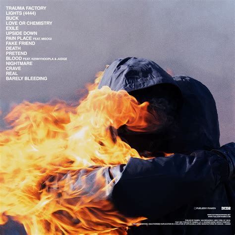 Image result for Trauma Processing Factory