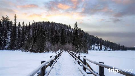Winter zoom background images - zzmopa