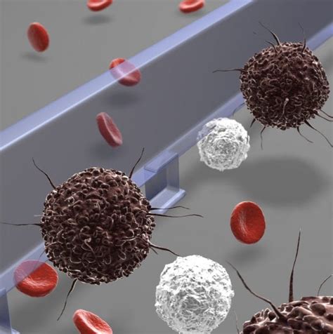 Image result for Cell Sorting Microfluidic Chip