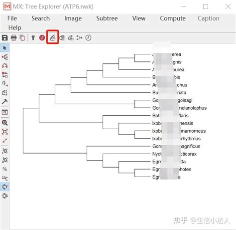 用MEGA软件做进化分析——系统发育树 - 知乎