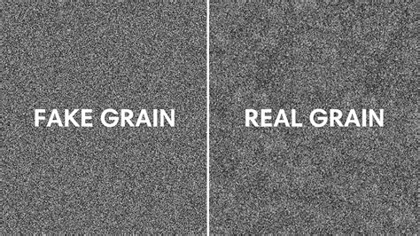 Film Grain App at Randy Stambaugh blog