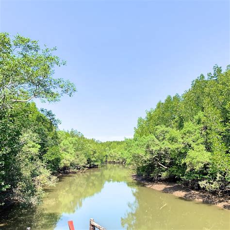 NGAO MANGROVE FOREST RESEARCH CENTRE (2026) All You Need to Know BEFORE ...